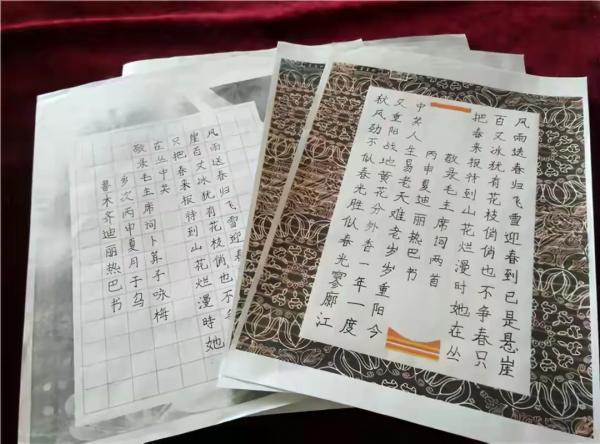 迪麗熱巴書法被盛讚有涵養，硬筆書法堅挺有力，毛筆書法碑帖互融