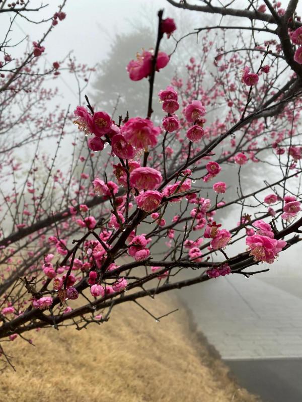 我已成仙 快樂一天