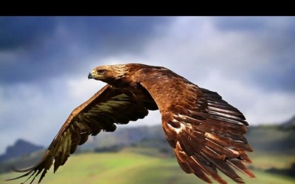 活著 如此不容易