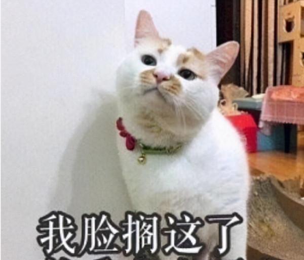 黃褐斑怎麼基本都是長在女生臉上？你看完就知道了