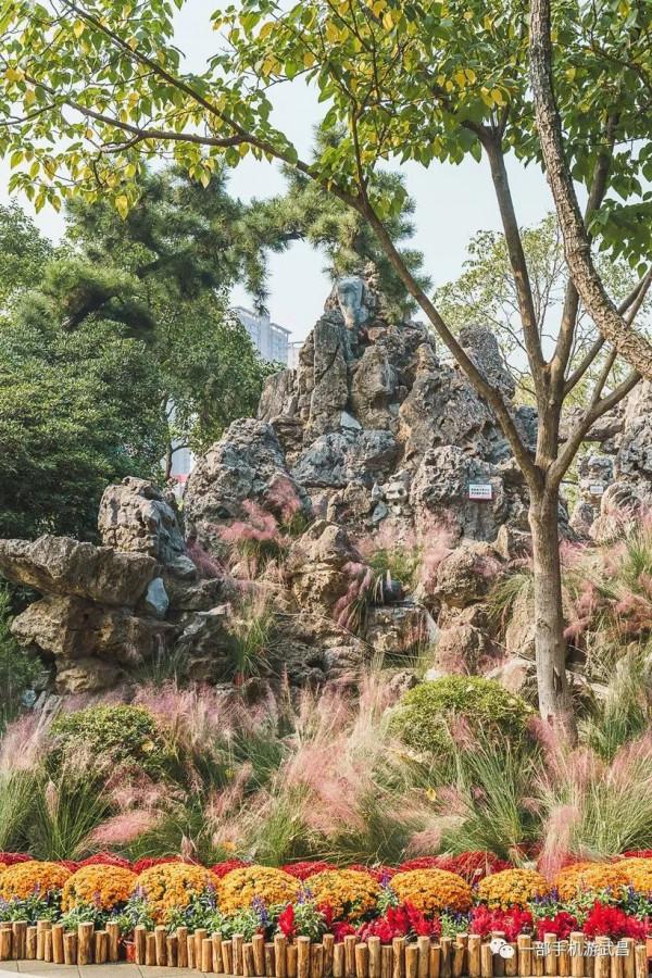 秋遊賞菊,品茗看展,好天氣就出門這樣玩 秋遊賞菊,品茗看展,好天氣就出門這樣玩