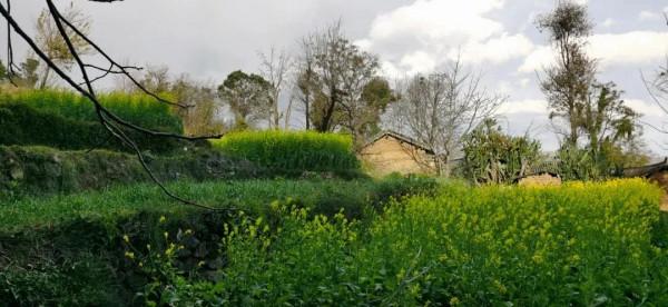 紅巖古城村，有吃有玩竟然還有咖啡館