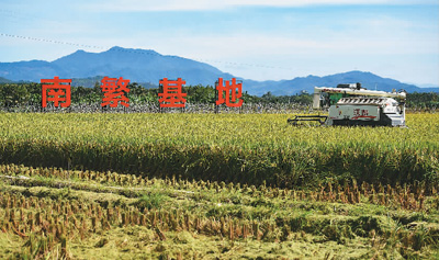 為“中國飯碗”鑄實底座