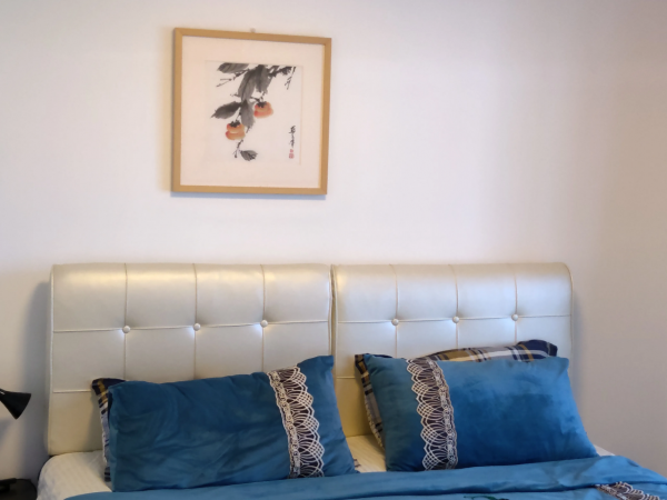 160平 座標一線城市，你選擇一套大戶型還是二套中小房型？