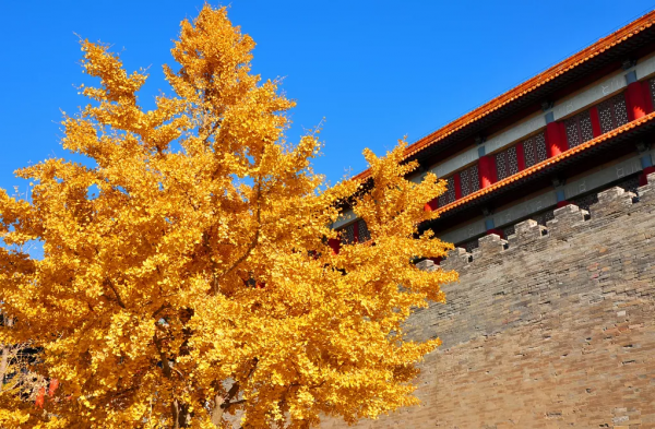 為什麼秋天一定要去旅行？就是這些理由