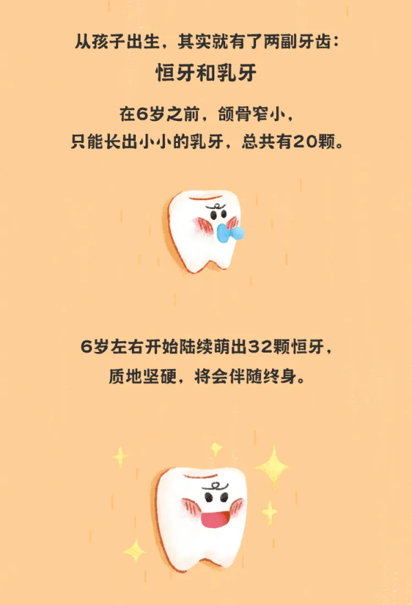 《最全兒童牙齒髮育時間表》來了!家長一定要了解 《最全兒童牙齒髮育時間表》來了!家長一定要了解