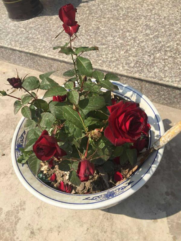 遠嫁農村，曬曬婆家為我準備的婚房，城裡倒貼200萬也不換