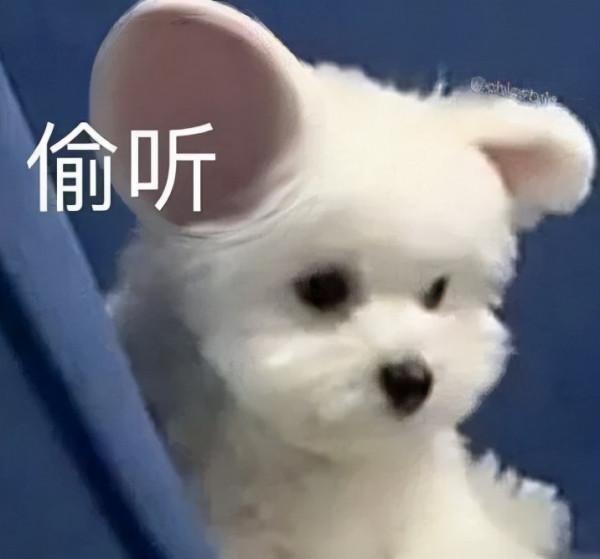 兵線被吃直接擺爛？某UP主怒錘職業選手掛機引網友熱議