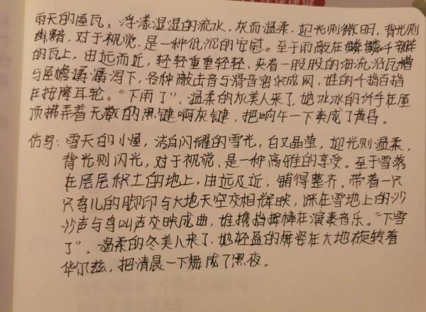 來自孩子們的摘抄、仿寫手稿（二）