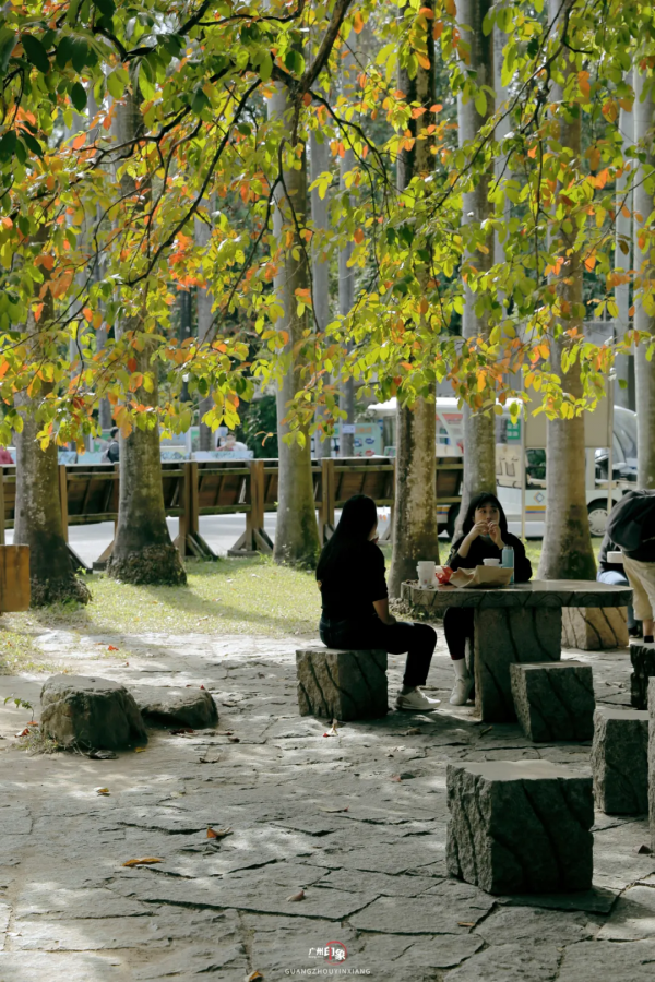 抓住秋天的影子，至少要去一次「華南植物園」