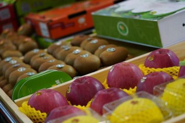 專家談丨魏延安：對推動我國果業高質量發展10個問題的思考