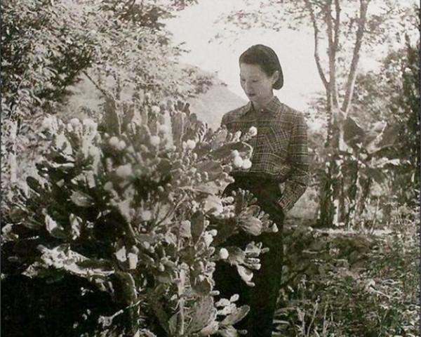 張學良與于鳳至唯一的女兒，陪伴母親幾十年，晚年定居美國