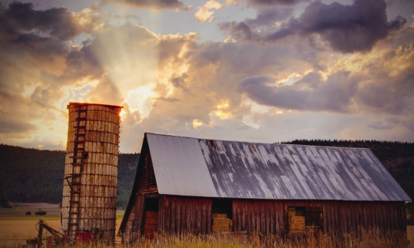活得任性,也過得坦然的星座,玩世不恭,實則早已看破,大智若愚 活得任性,也過得坦然的星座,玩世不恭,實則早已看破,大智若愚