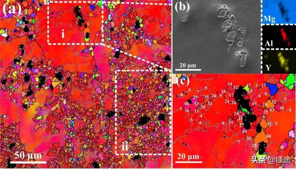 鎂科研：雙相粒子協同調控混晶結構Mg-9Al-Zn合金組織同步提升強