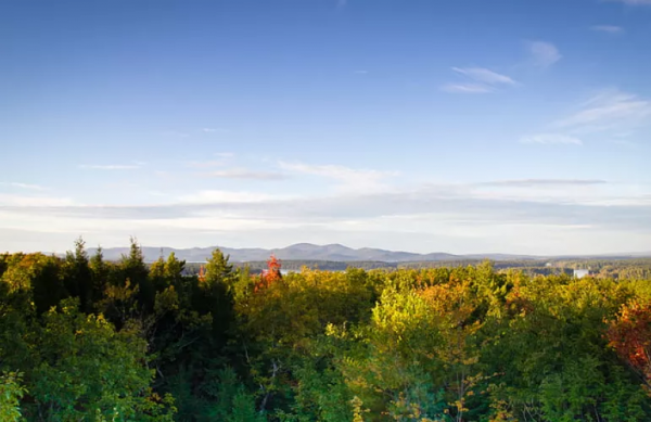 甲友心聲——24歲遇甲癌 甲友心聲——24歲遇甲癌