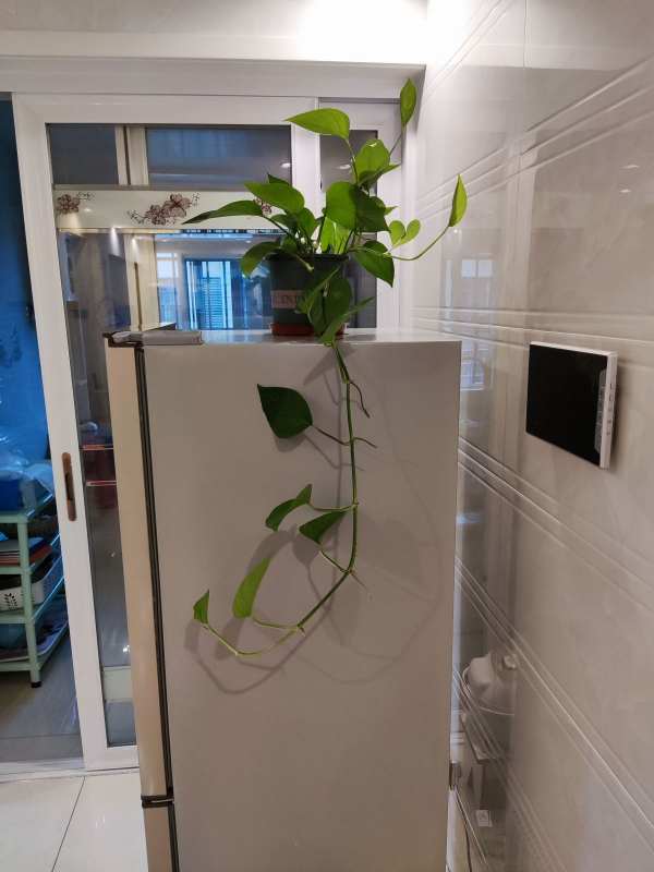 年底在家大掃除,記住5個小妙招,省時省力乾乾淨淨 年底在家大掃除,記住5個小妙招,省時省力乾乾淨淨