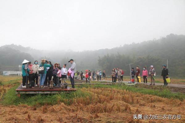 “糧食安全萬里行 力拓好米更安心”——2021糧食安全主題活動舉行