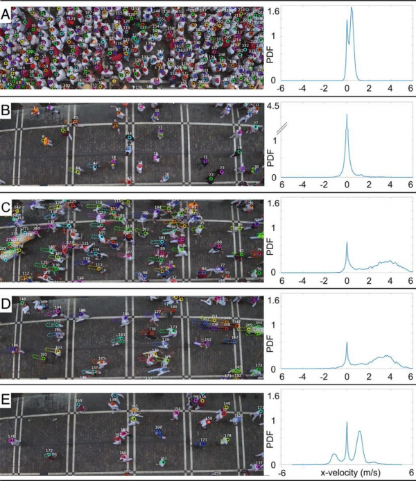 “奔牛節”裡的擁擠人群如何狂奔？
