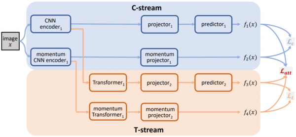 Transformer振興CNN骨幹網路，港大、騰訊視覺自監督表徵學習CARE