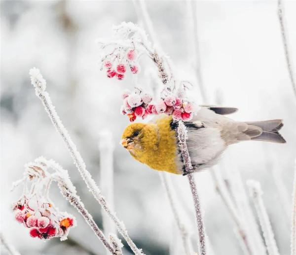 曾仕強：明哲保身是最高明的處世方式