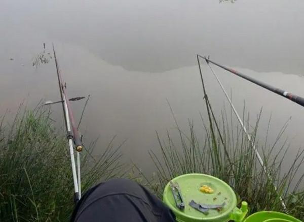 鯽魚為何起浮離底，這些因素不能小覷