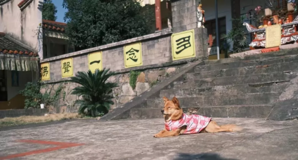 湖南人家門口的祈福轉運指南請收好 湖南人家門口的祈福轉運指南請收好