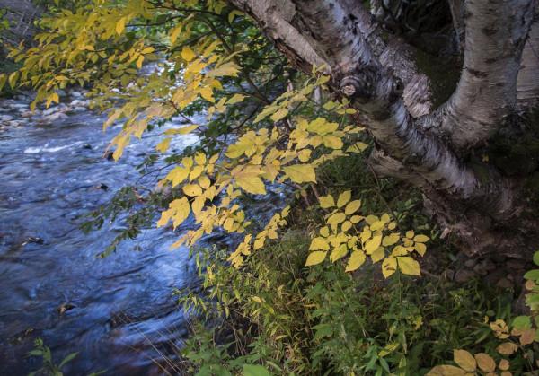 回顧加拿大之旅——布雷頓角