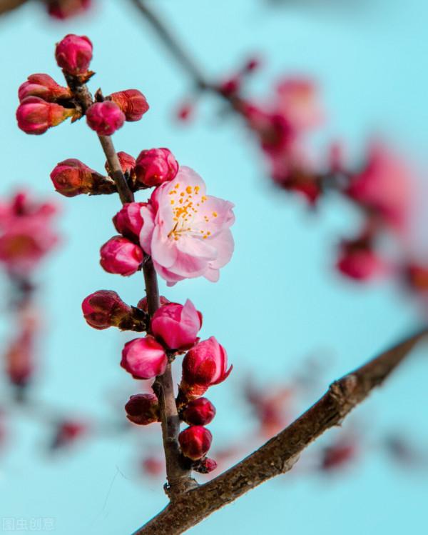 雅稱、代稱、它稱、別稱彙總(二) 雅稱、代稱、它稱、別稱彙總(二)