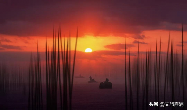 闖入霞浦油畫世界，看落日灘塗