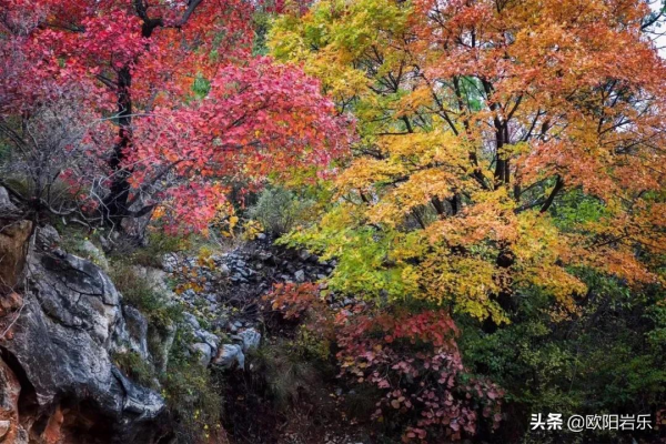 美到勾魂!10月的中國,這9個地方秋光乍洩,你應該在場啊 美到勾魂!10月的中國,這9個地方秋光乍洩,你應該在場啊