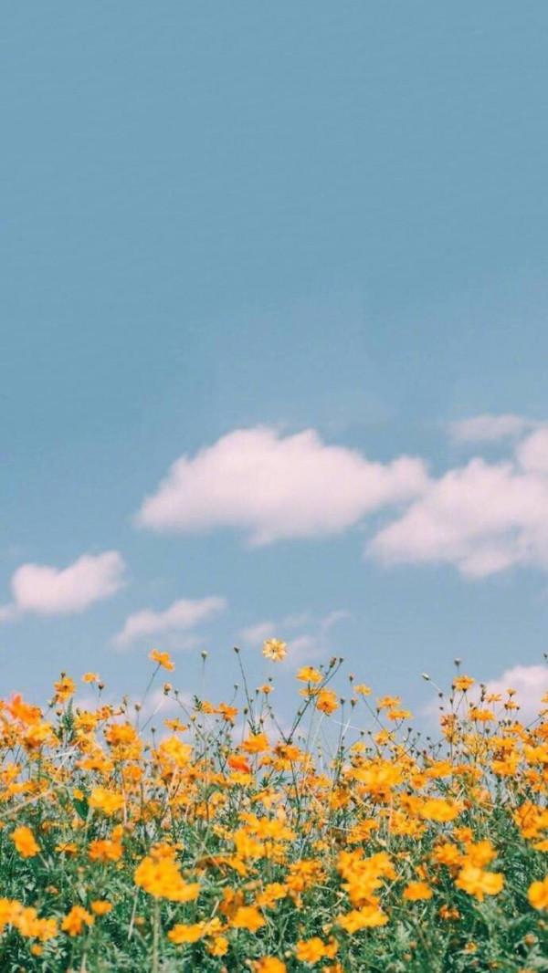 《在樹林裡》有些事帶有年輕的屬性，別給自己留下遺憾