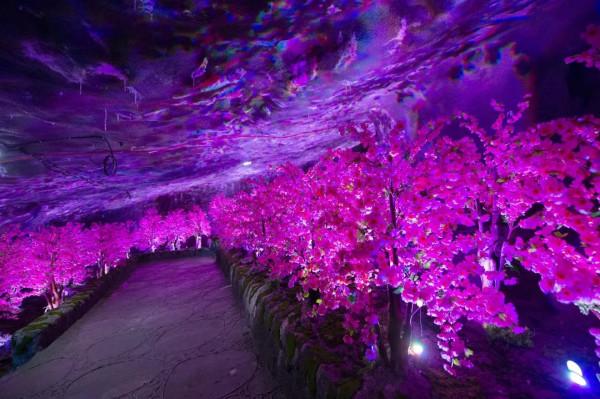 2.2億!廢棄礦洞如何變身沉浸式礦洞探險景區 2.2億!廢棄礦洞如何變身沉浸式礦洞探險景區