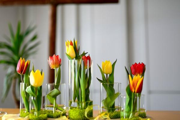 放下一個人的最好方式:鱷魚法則 放下一個人的最好方式:鱷魚法則