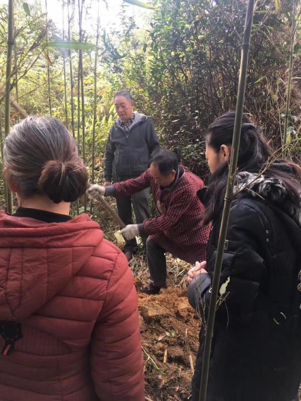 我作為一個非常愛狗的人,為什麼再也不養狗了 我作為一個非常愛狗的人,為什麼再也不養狗了