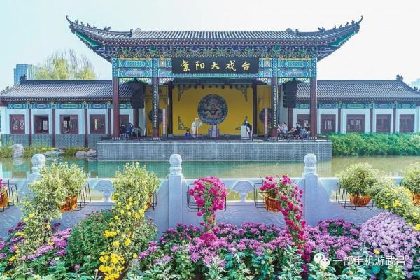 秋遊賞菊,品茗看展,好天氣就出門這樣玩 秋遊賞菊,品茗看展,好天氣就出門這樣玩