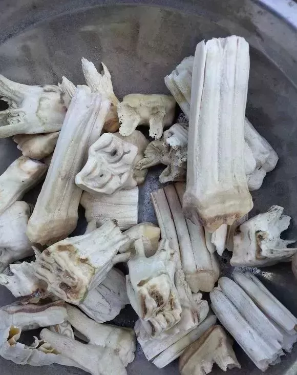 稀罕物，馬骨手串！剛死的馬，現場車珠子