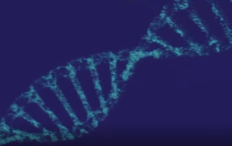 誰會從腫瘤MRD技術迭代週期中勝出 | 海斌訪談 誰會從腫瘤MRD技術迭代週期中勝出 | 海斌訪談