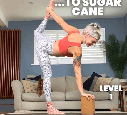 瑜伽單腿下犬式如何才能不翻胯？讓腿抬的更高？(附練習方案)