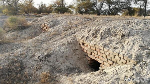 新疆軍墾第一莊——小李莊 新疆軍墾第一莊——小李莊