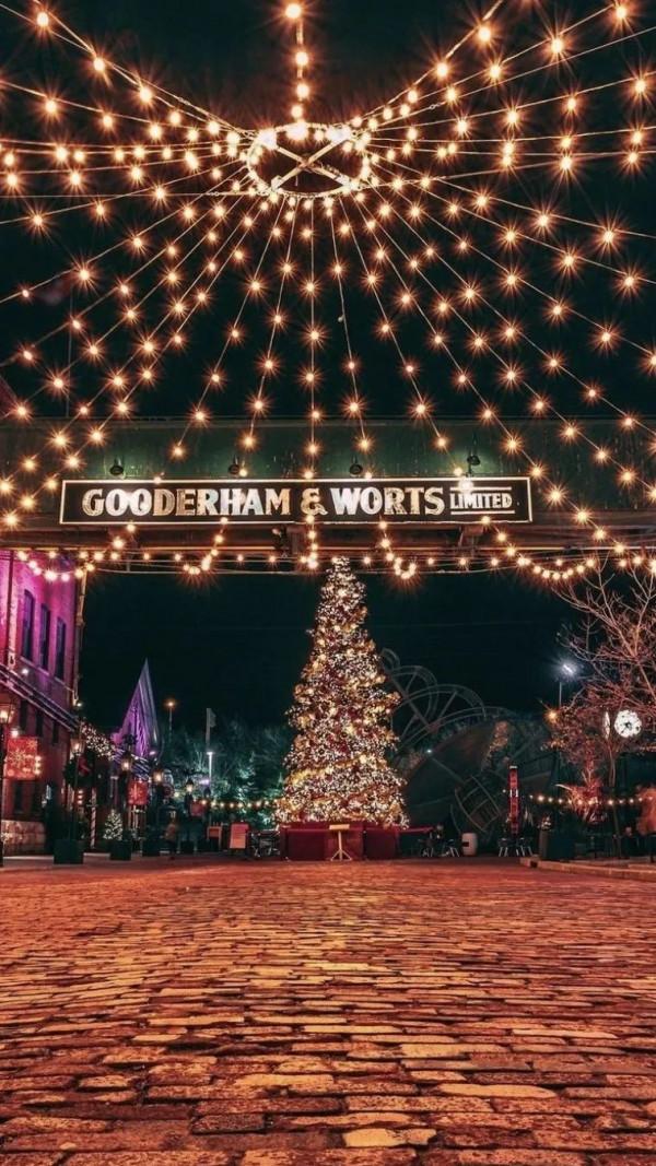 聖誕季：歲末有你，溫暖如斯