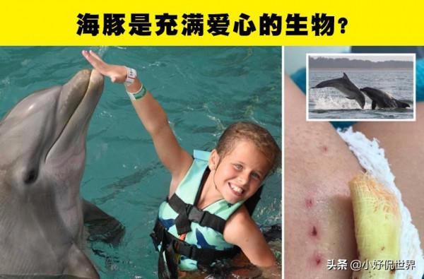 冷知識揭穿：生活中，人們長期相信著的7個錯誤的科學知識