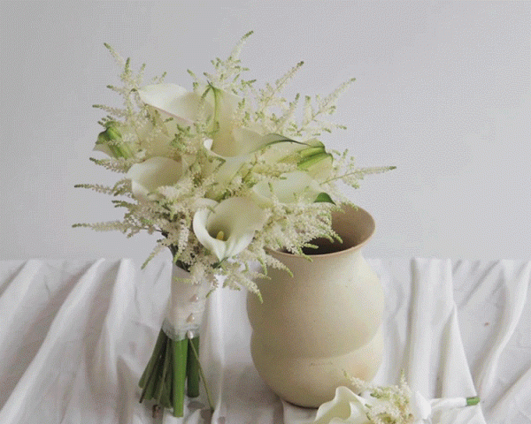 葉似蕨，花霧朦，落新婦散發浪漫唯美的氣息 | 壹木星球 No.4