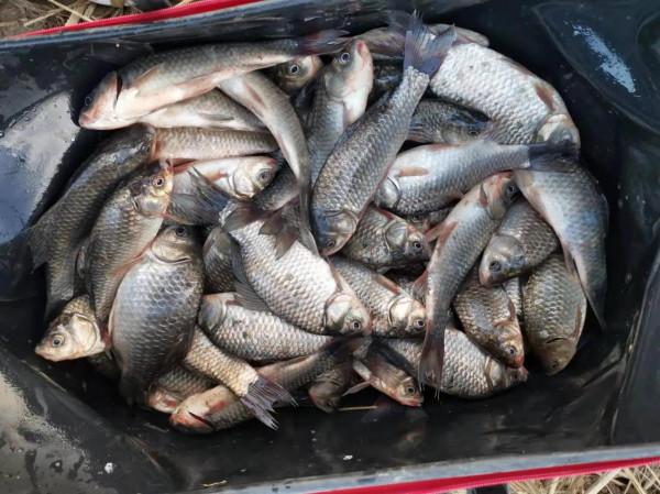 如何判斷天氣適不適合釣魚?老釣友:就看這三項資料,越低越好 如何判斷天氣適不適合釣魚?老釣友:就看這三項資料,越低越好