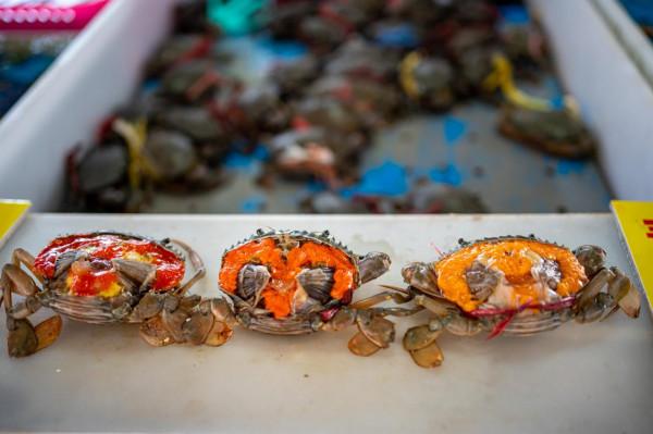 南沙十九湧漁人碼頭，週末好去處，海鮮和特產是否真便宜呢？