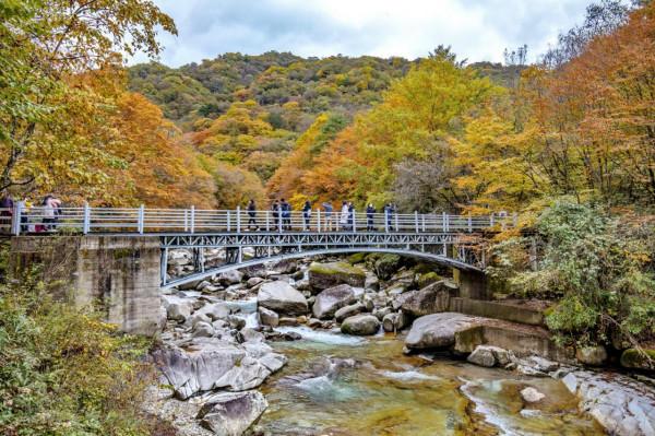 黑熊溝——四川光霧山