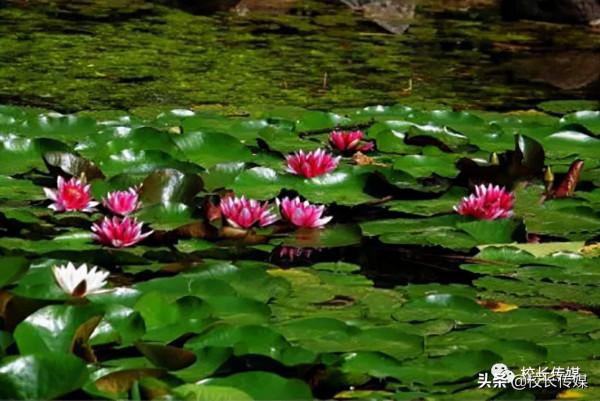 養出自信孩子的前提:維護孩子的面子 養出自信孩子的前提:維護孩子的面子