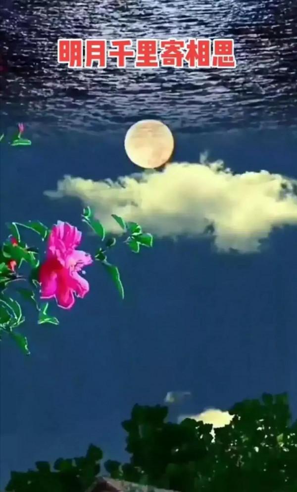 沒有月餅的中秋節