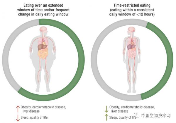 間歇性禁食再添新功能：睡不好覺？可以試試安全的限時進食策略