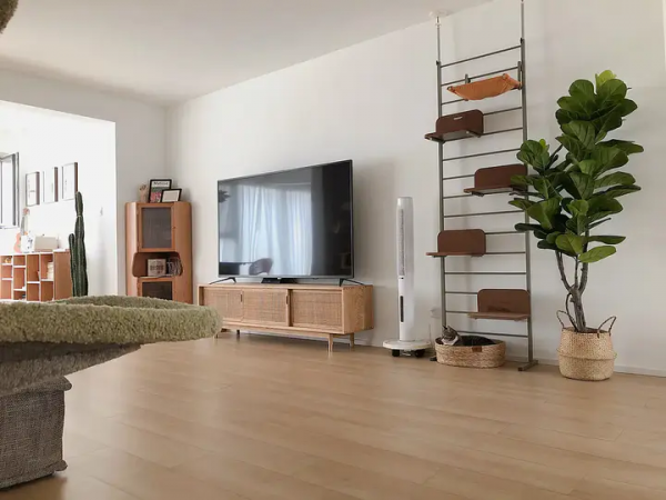 重灌住了5年的房子，發現衛生間不裝門也很方便