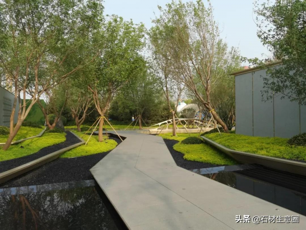 生態地鋪石欣賞